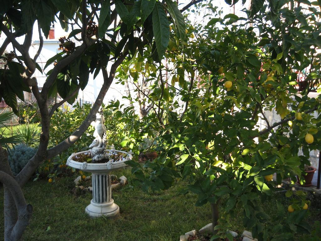 Apartment Zvonar Donji Okrug  Екстериор снимка